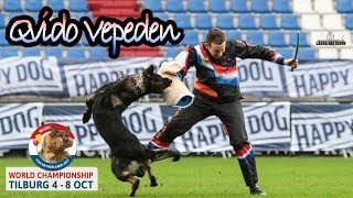 WUSV 2017 Vaclav Ouska Qvido Vepeden C Protection 90pts