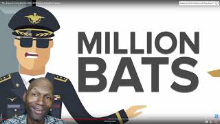 Bat Bombs :Living Bombs the US Military Actually Created- My Reaction.