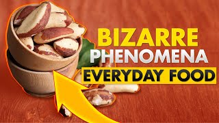 Bizarre Phenomena Everyday Food | Top 10 Coolest Stuff 2020