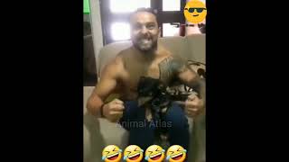 Dog funny 🤣 video #shorts #animals