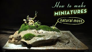 How to make miniature garden with natural moss