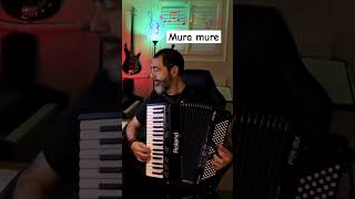 Mura mure - Folk d'Abruzzo