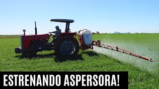 ESTRENANDO FUMIGADORA MF-600 EN TRIGO ANTES DEL PRIMER RIEGO