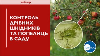 Ефективний та безпечний контроль дрібних шкідників саду та всіх видів попелиць