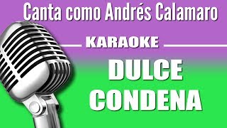 Andrés Calamaro - Dulce Condena - Karaoke Vision