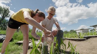 Studying mercury pollution in the St. Louis River