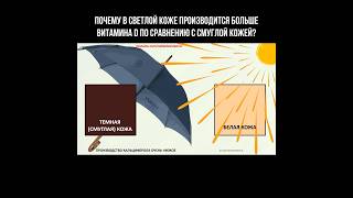 Почему в светлой коже производится больше витамина Д по сравнению с смуглой кожей? #витаминд #кожа