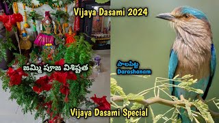 Vijaya Dasami 2024 | Aayudhapooja | విజయదశమి శమీ (జమ్మి చెట్టు)పూజ Vishistatha | పాలపిట్టDarashanam