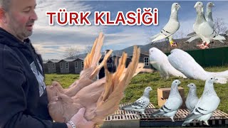 DÜNYA KLASMANINDA GÜVERCİNLER FİLOLAR VS FERHAT ÖZTÜRK SUNUMUYLA