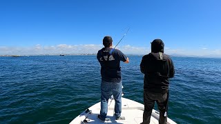 Saltwater Bass Series Round 3  From Mission Bay...Calico Bass, Sculpin, and Big Reds!