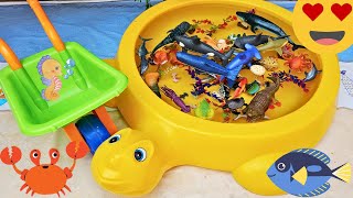 SEA ANIMALS FOR TODDLERS: HORSESHOE CRAB, TURTLE, PELICAN EEL, BLUE RING OCTOPUS, AND OTHERS