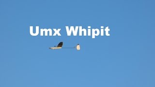 UMX Whipit little Plane for big fun