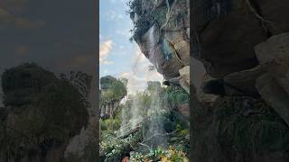 Pandora the World of Avatar is so beautiful at Disney’s Animal Kingdom!  #disney #beauty #avatar