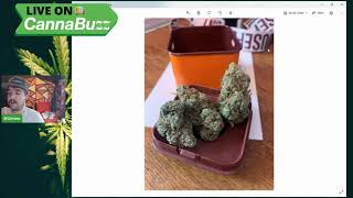 Seth Rogen's weed taste test! Houseplant: Diablo Wind (G13H x JH)