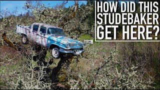 Real Life Whomping Willow? | Studebaker in a Tree | Destination Adventure