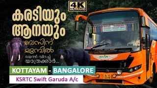 കരടിയും ആനയും ബസിന് മുമ്പിൽ | Kottayam to Bangalore KSRTC Bus via Mudumalai - Bandipur Tiger Reserve