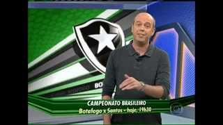 Neymar - Botafogo Vs Santos - Brasileiro    2013