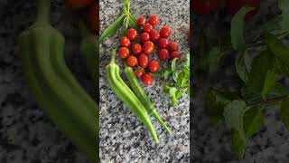 Little Harvest today from Garden