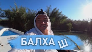 Рыбалка 2020! Балхаш! Академия рыбалки "Маяк"