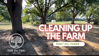 Cleaning the Farm