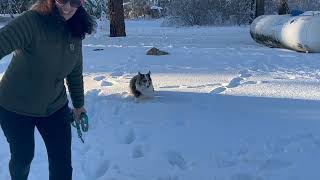 Mt Laguna, San Diego Snow     HD 1080p