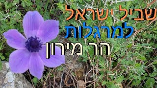 שביל ישראל מרגלות הר מירון