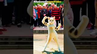 cute billi ka dance 😍 patali kamariya mori hay hay😂😎 #cat  #dance #youtubeshorts #shortsviral