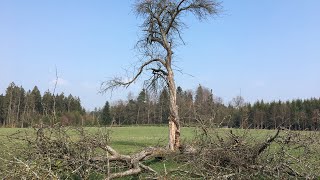 Naturspur Großerlach, Benjes Hecke,Diakonie Erlacher Höhe,Erstes Bioenergiedorf im Rems-Murr-Kreis