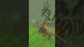 Killing a Silver Lynel without ever being seen #totk #gaming #goldenapple