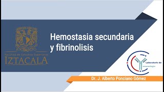 Clase 12  Hemostasia secundaria