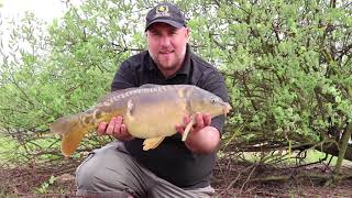 Catching Carp on Sweet potato!