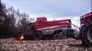 Jesień w Gr. Suszek  | Kukurydza na ziarno 2019  | John deere | Massey Ferguson