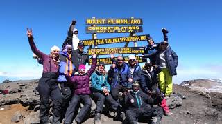 Kilimanjaro og safari med Hvitserk