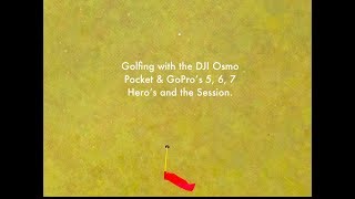 Golfing with the DJI Osmo Pocket and a quad of GoPro's at Swansea CC