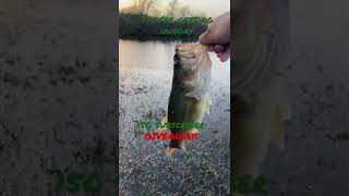 150 Subscriber GIVEAWAY! #giveaway #subscribe #like #fishing