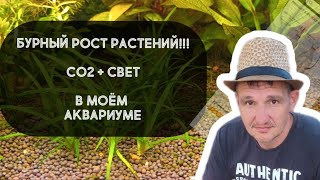 Как самому сделать распылитель для СО2