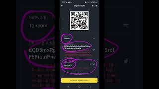 Binance  vs. Bybit on-chain  withdrawal/deposit (V9)