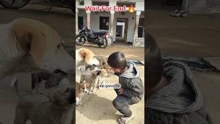 Big Dog Suddenly Come Back #dog_kissing #puppies #doglover #doge #status #shorts #short #viral #song