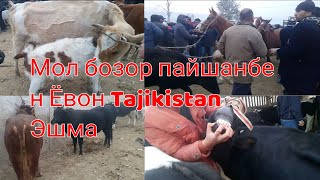 мол бозор пайшанбе н Ёвон,Tajikistan