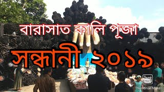 Kali Puja 2019 Barasat| Kali Puja 2019| Barasat Sandhani Kali Puja 2019