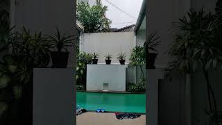 raining in bali