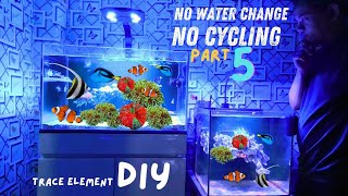 PARAH‼️Aquarium Laut Jadi Kaya Gini⁉️5 Bulan No Water Changes, Trace Element DIY Worth it⁉️