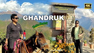 Ghandruk Trip | Short Vlog | Babushahebjee |