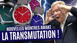 Révolution : une montre "métiers d'art" enfin accessibles...