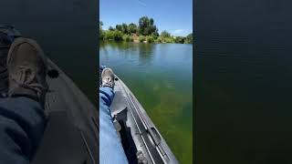 Clear water #bass #fishing #kayakfishing