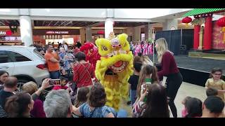 2020 農曆新年 Lunar New Year, Lion Dances, Martial Arts, Scottsdale Fashion Square, Arizona.