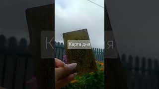 Стабильный день #предсказание #таро #картытаро #картадня