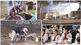 Утеплили террасу / Украшаю домик / Выступление Гелика / KOREA VLOG