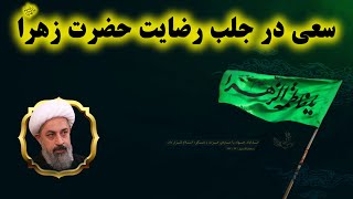 سعی در جلب رضایت حضرت زهرا سلام الله علیها شماره 193