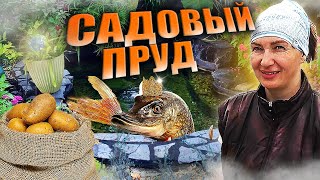 Садовый пруд - монтаж. Наконец то занеслись? Пополнение. Деревенский дневник...